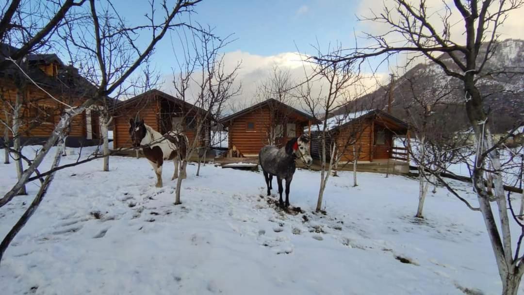 Holiday Bungalows With Pool Plav Exteriör bild